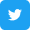 Twitter Icon
